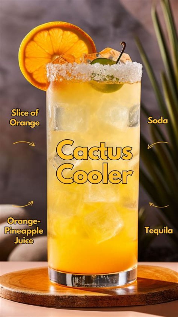 Best Cactus Coolers: Refreshing Desert Designs