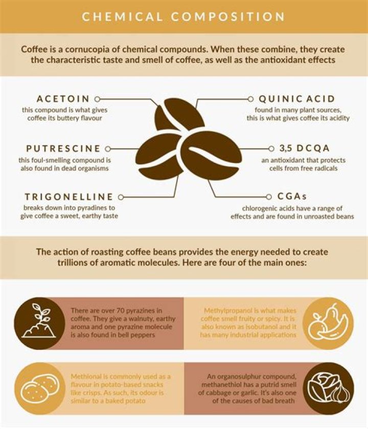 Caffeine Lab: Your Ultimate Guide to the Chemistry of Coffee