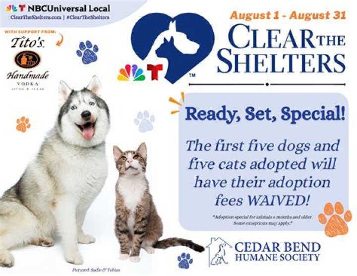 Cedar Bend Humane Society: A Comprehensive Guide to Animal Welfare in Waterloo, Iowa