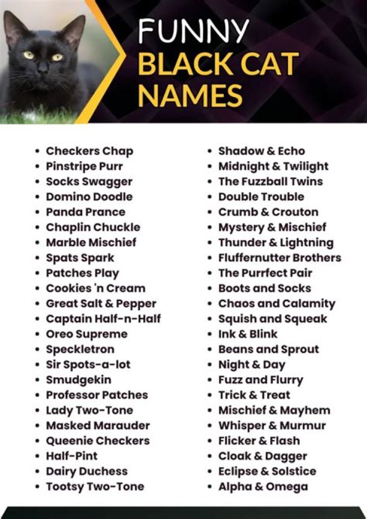 Charming Names for Black Cats: A Comprehensive Guide