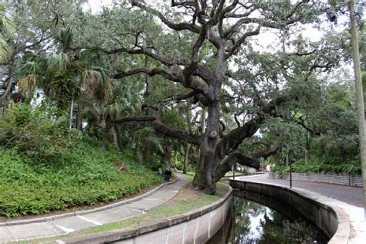 Discover Roser Park: Activities & Fun!