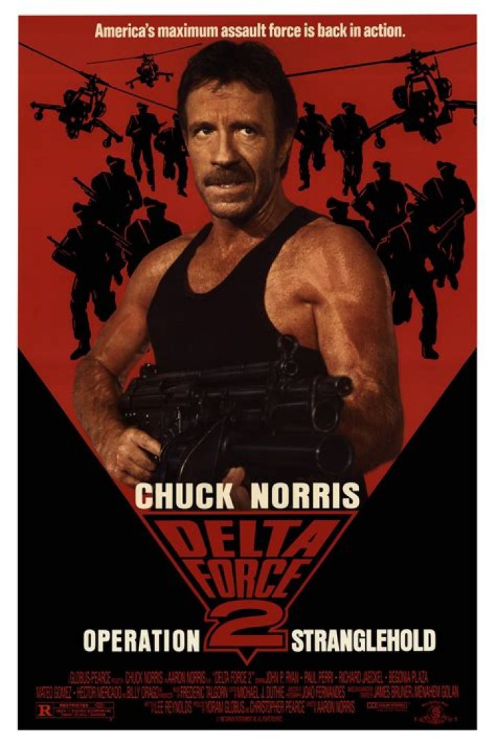 Discover the Unstoppable Force: Chuck Norris in Action