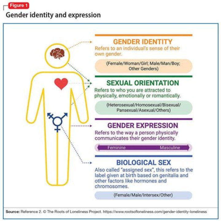 Emma D'Arcy: Male or Female? Understanding Gender Identity in the Context of Modern Society