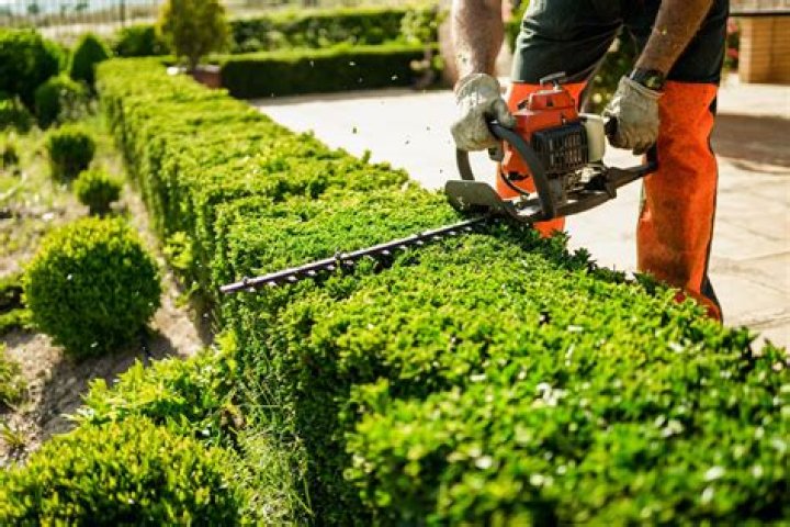 Expert Carpenter Services Near You - Quality Work Guaranteed