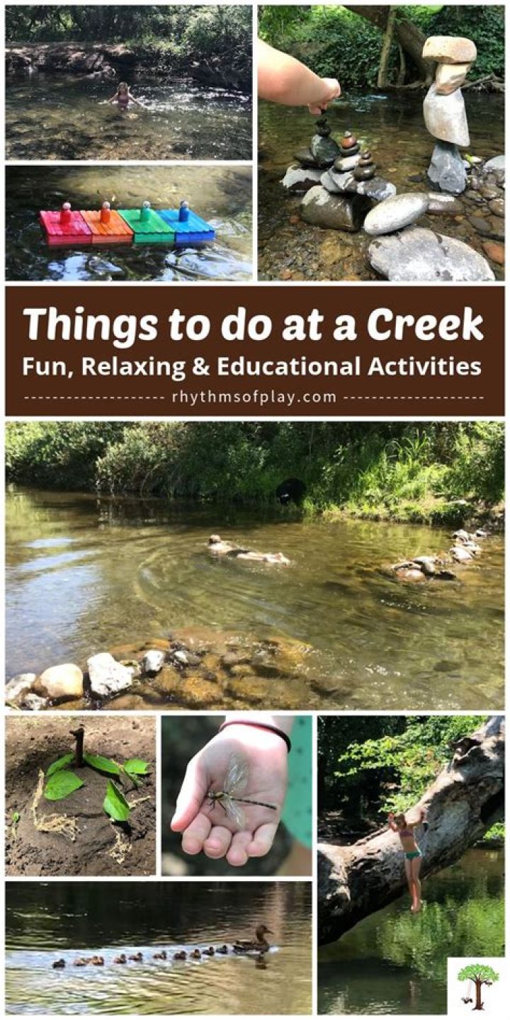 Exploring Brantley Creek: Nature & Activities