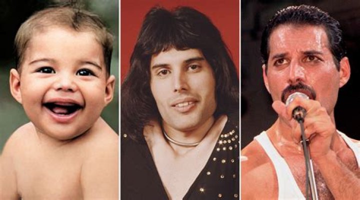 Exploring the Truth About Freddie Mercury and His Children