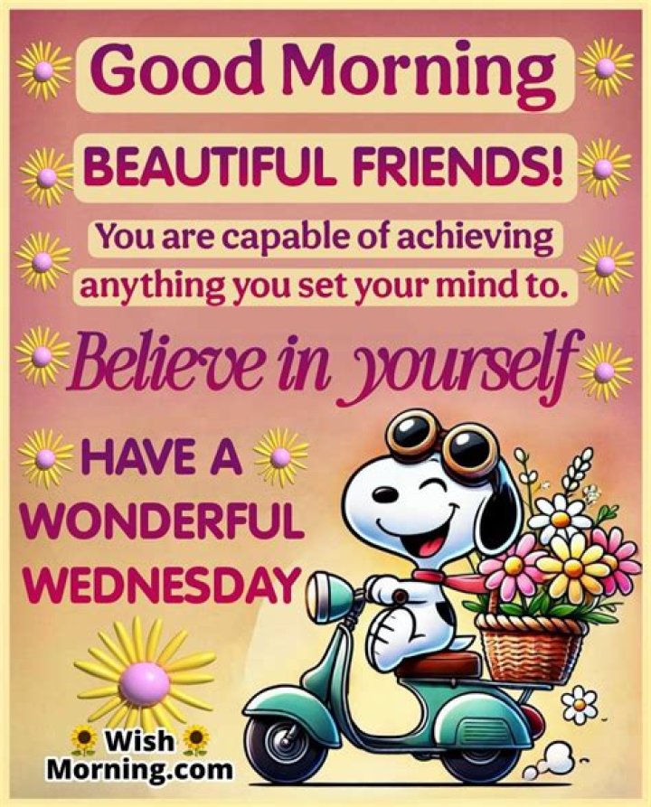 Happy Wednesday Friend: Embracing the Midweek Joy