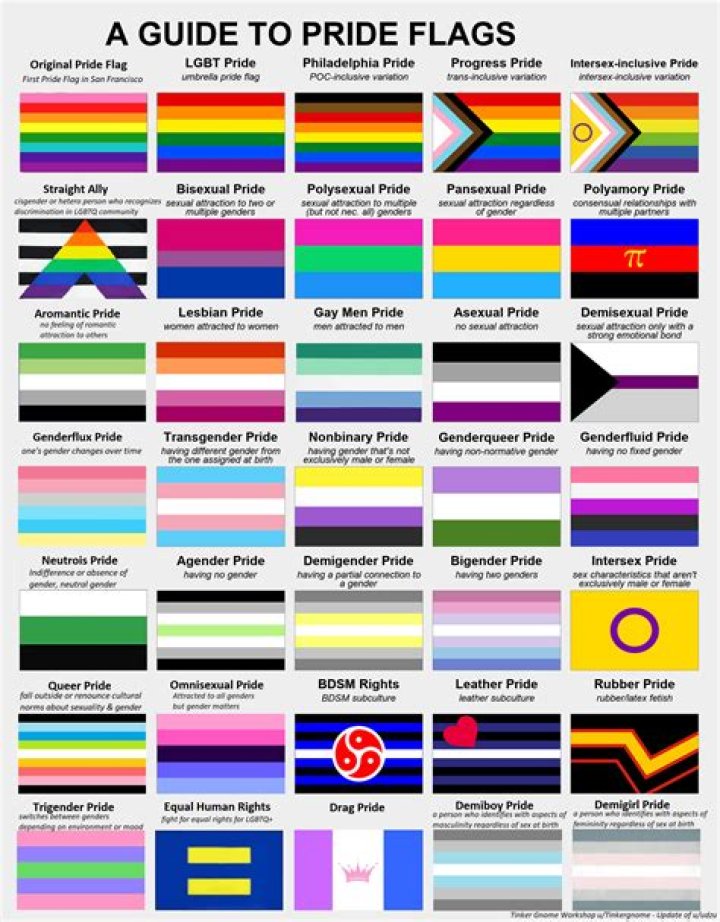 Is She Lesbian? Exploring the Representation and Identity of Women in the LGBTQ+ Community