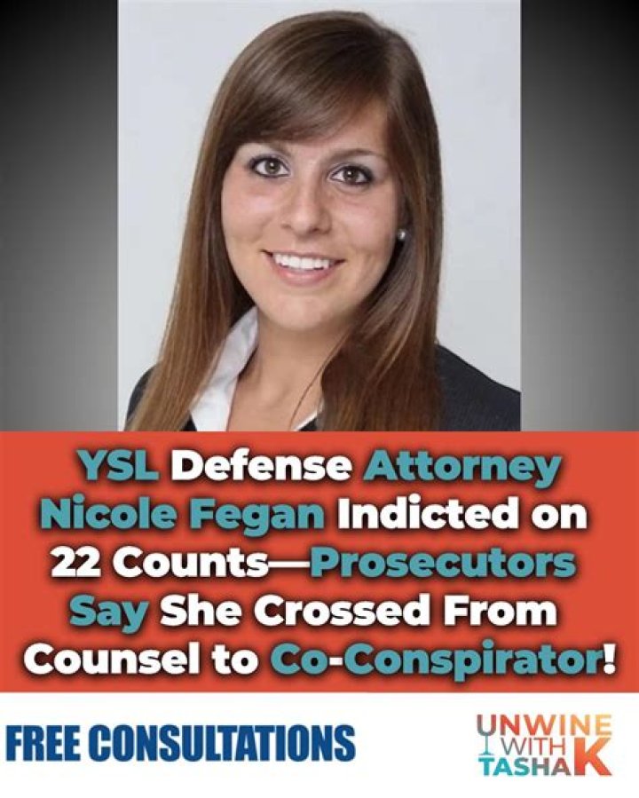 Nicole Fegan: Lawyer Arrested - A Comprehensive Overview