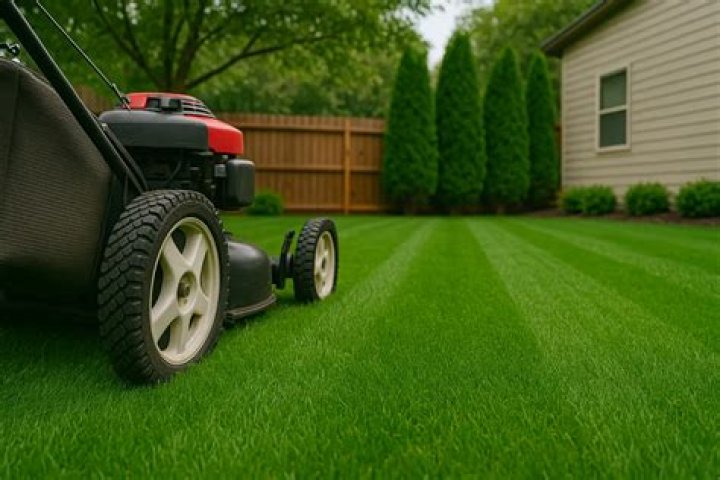 Rick Ross Lawn Mowing: The Rapper's Unexpected Venture into Landscaping