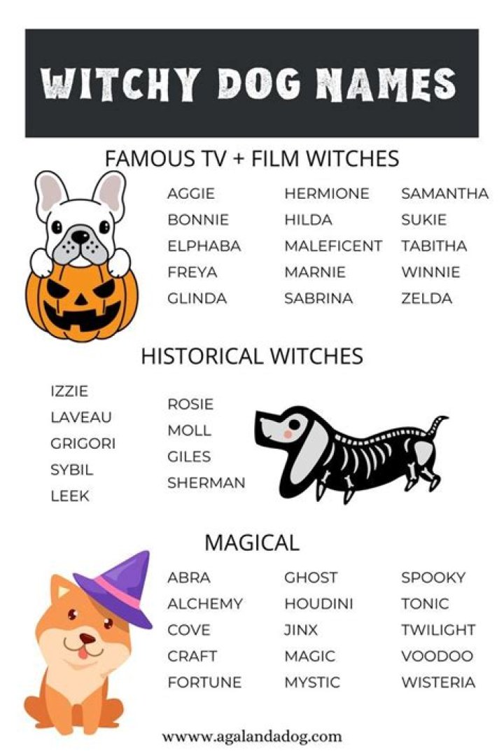 Spooky Names for Dogs: Unleash the Frightening Fun