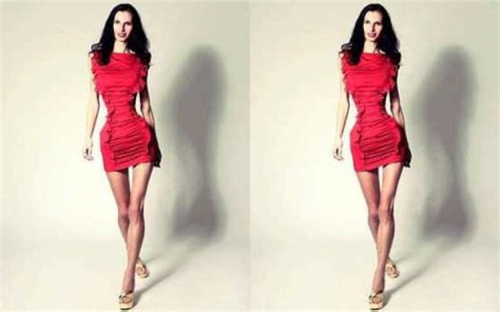 Thinnest Model in the World: A Comprehensive Exploration