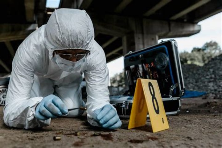 Top Felton Detectives: Expert Investigations