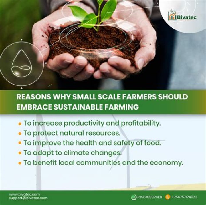 Top Phillips Agri Solutions for Farmers