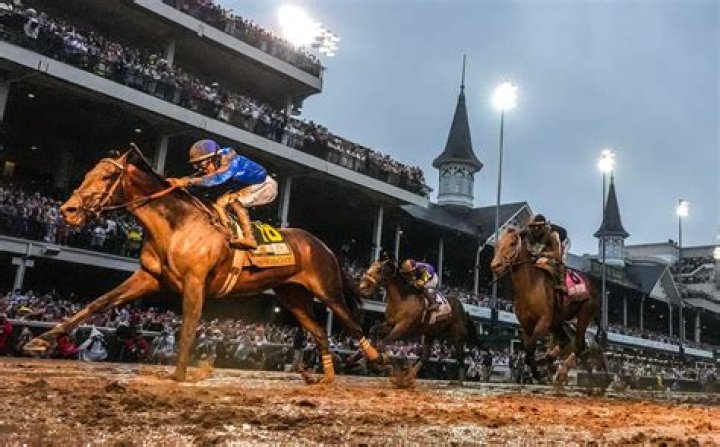 Top Trainer Patrick Favre: Racing & Horses