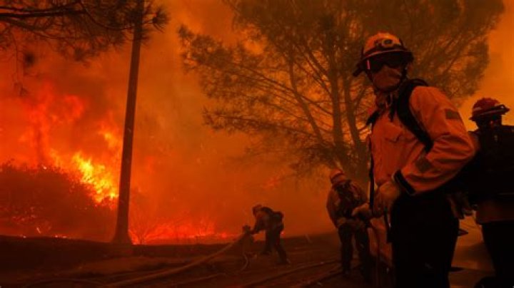 TV Shows Like Wildfire: A Deep Dive into Captivating Series