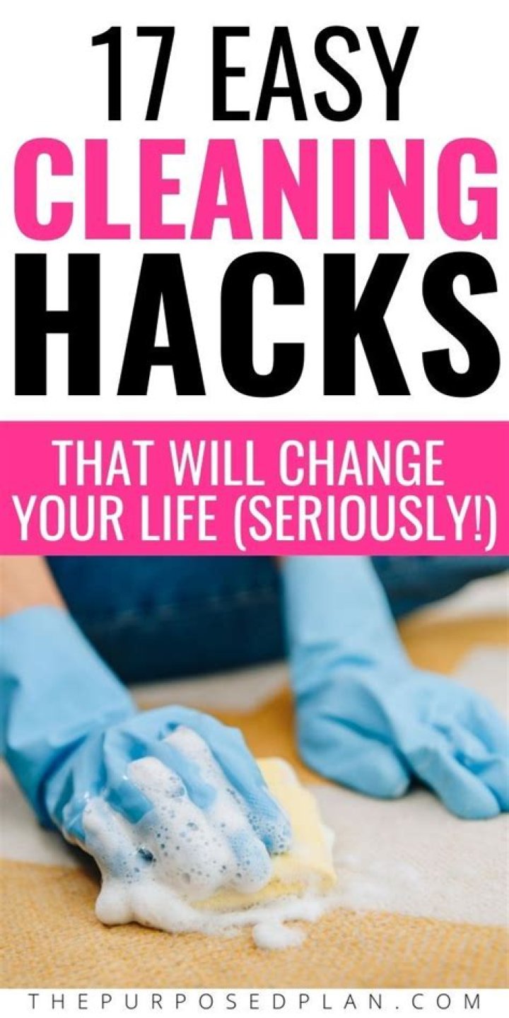 Ultimate Guide to Bo Dauster: Cleaning Hacks & Tips
