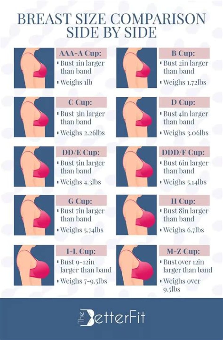 Unveiling the Fascinating World of Boob Pedia
